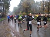 Kasterlee 2014 - 010.jpg